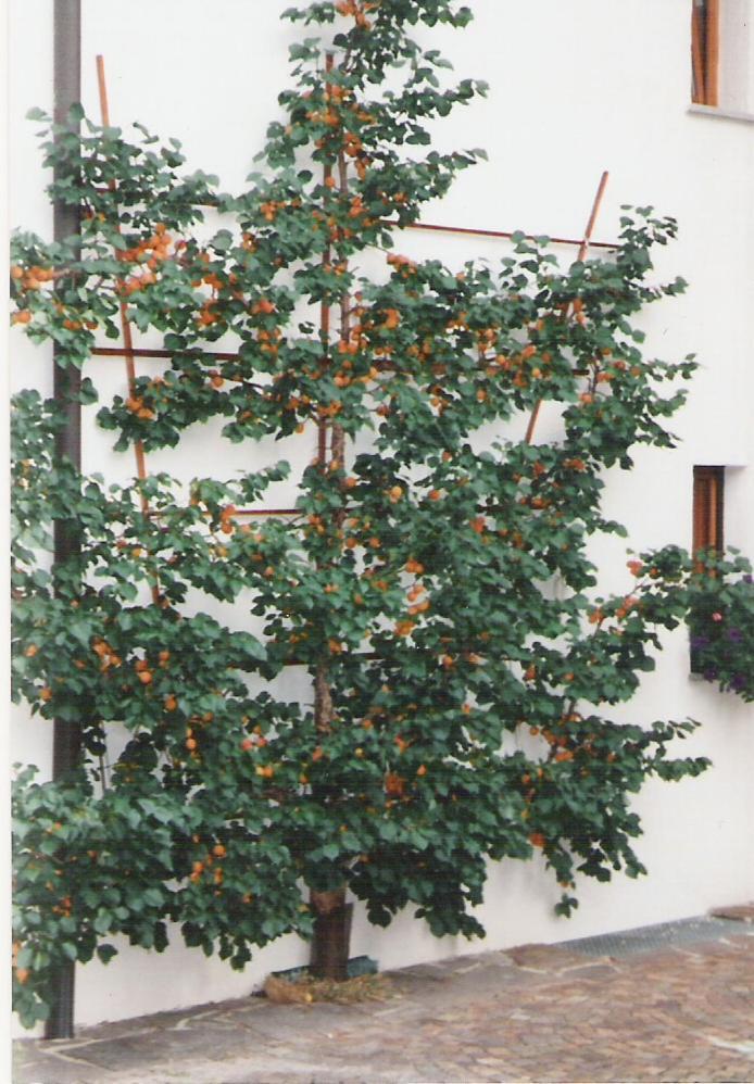Landhaus Brigitta Innsbruck Ngoại thất bức ảnh